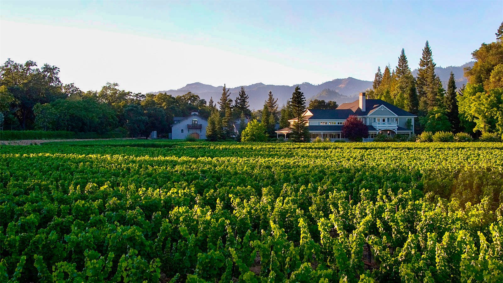 Napa’s Duckhorn combines grapes from throughout Napa Valley for its noteworthy regional Chardonnay bottling.