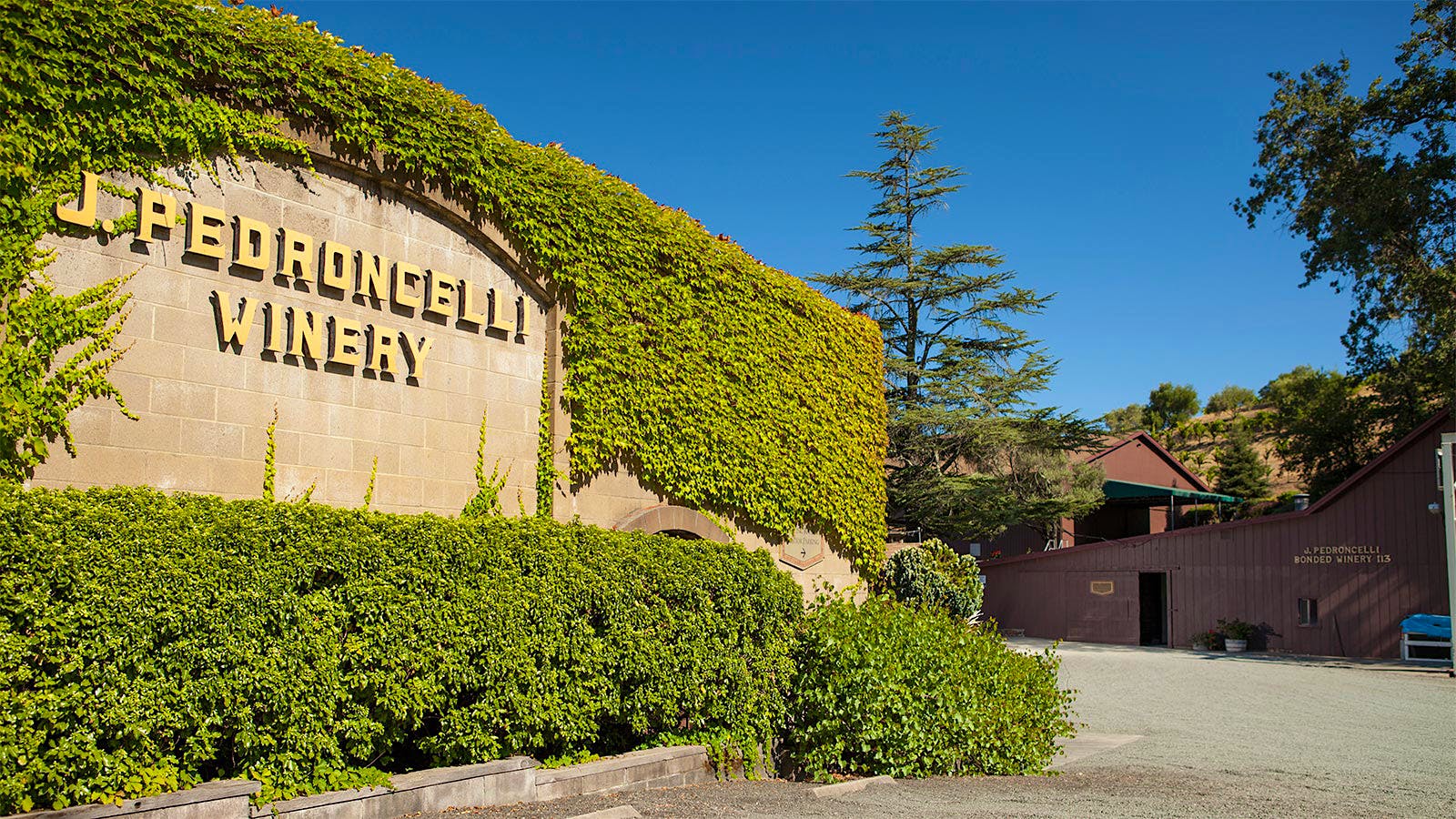 The Pedroncelli family has been making Zinfandel in Sonoma’s Dry Creek Valley since 1927; they’ve found a second use for the grape in their zesty rosé.