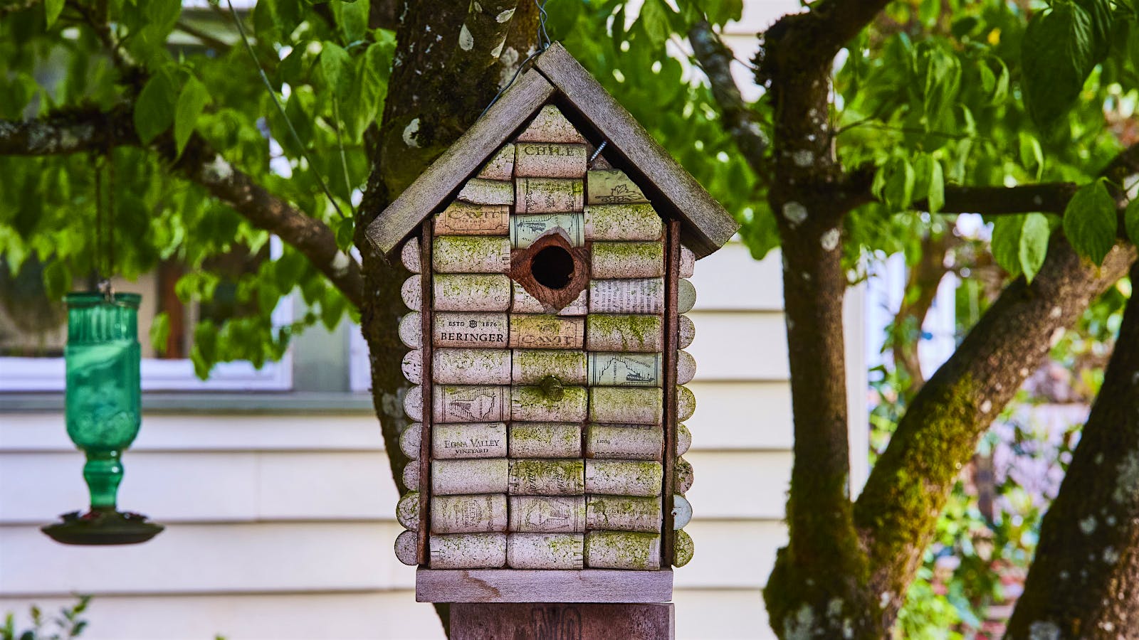 A birdhouse made from wine corks hangs from a tree in a front garden.