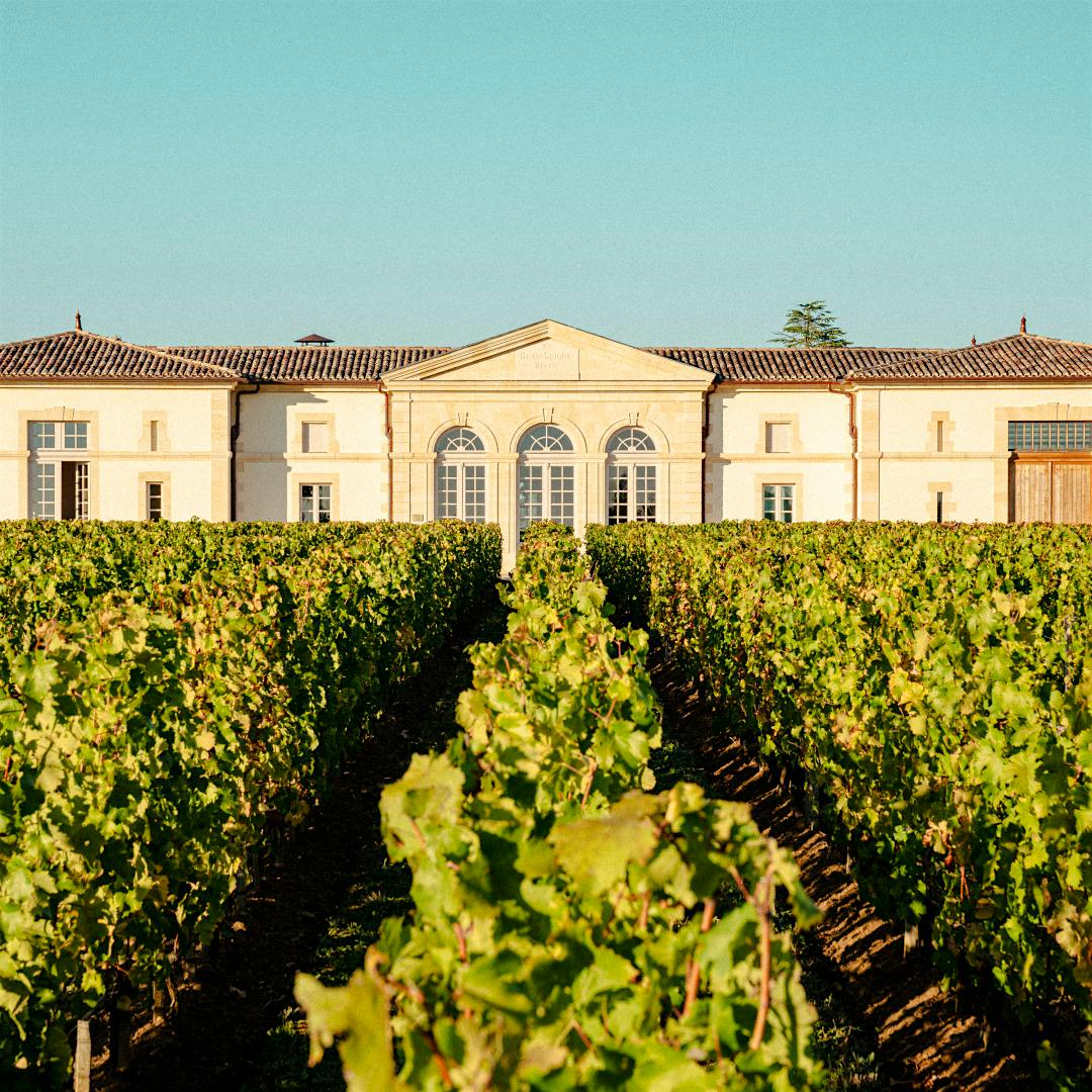 Château Beau-Séjour Bécot is a leading member of the new vanguard in St.-Emilion.