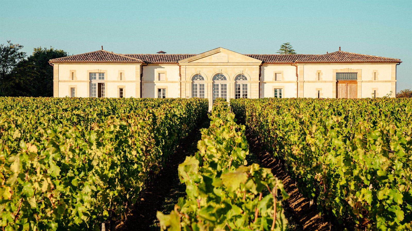 Château Beau-Séjour Bécot is a leading member of the new vanguard in St.-Emilion.