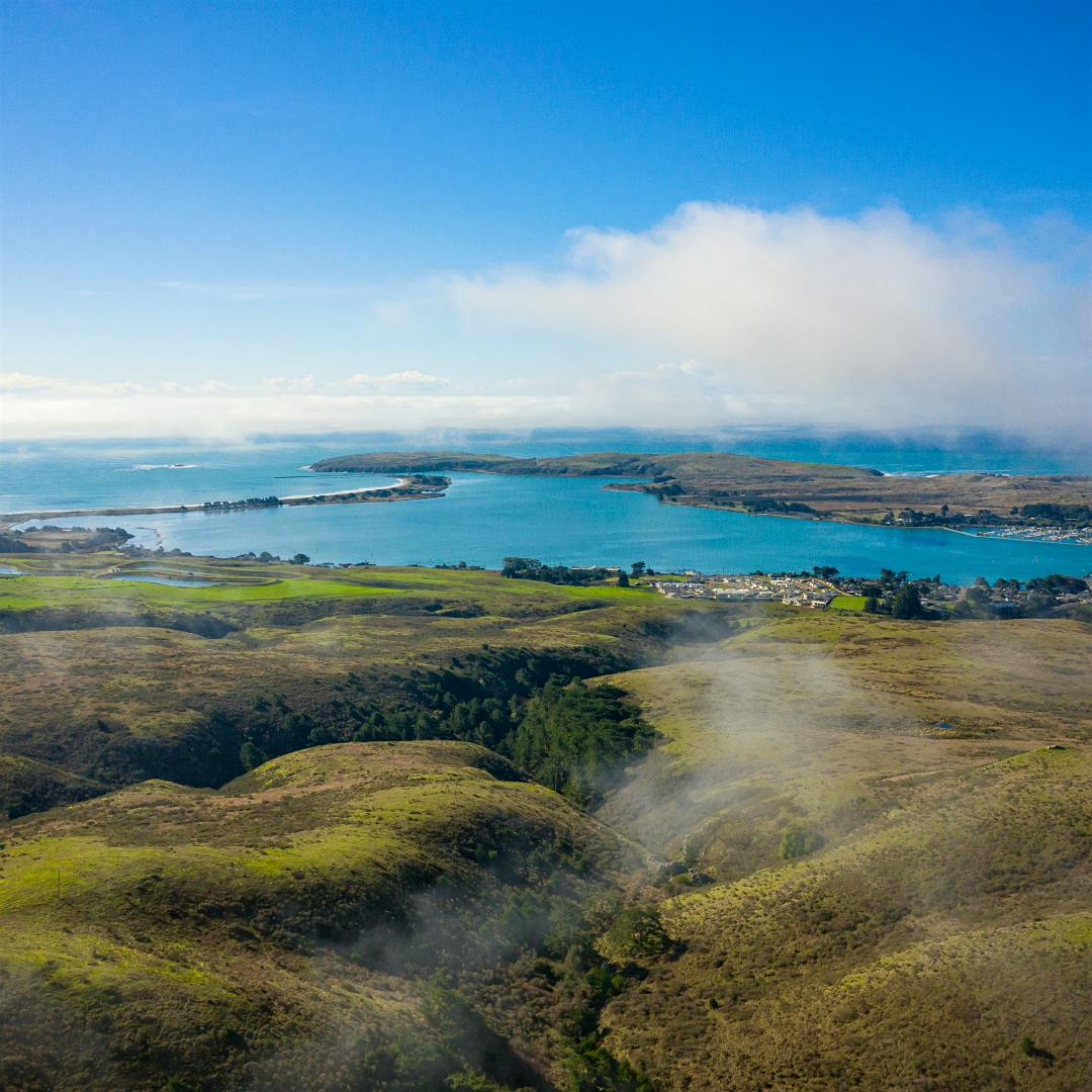 Occidental vineyards on California’s Sonoma Coast (Jak Wonderly)