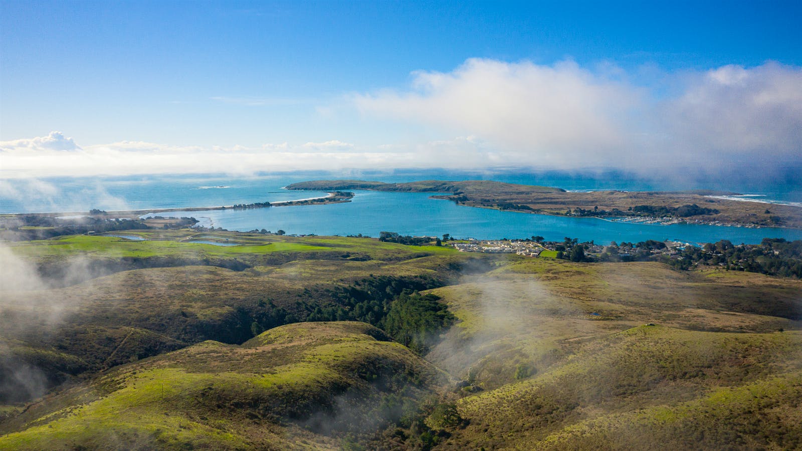 Occidental vineyards on California’s Sonoma Coast (Jak Wonderly)