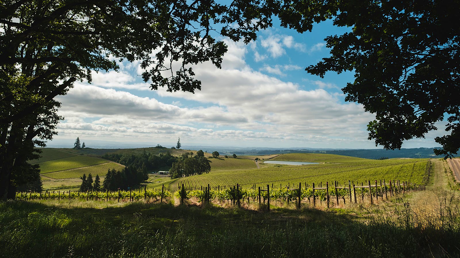  Spirit Hill Vineyard in Oregon&rsquo;s Eola-Amity Hills.] 