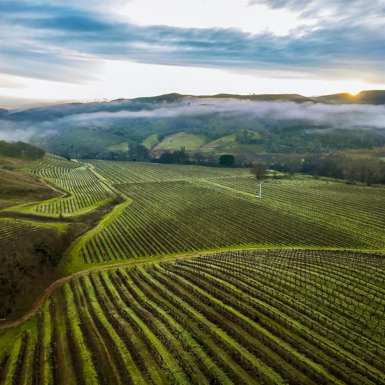 Napa Valley's beauty and terroir have long drawn visitors, making for a challenge in preserving its rural character.