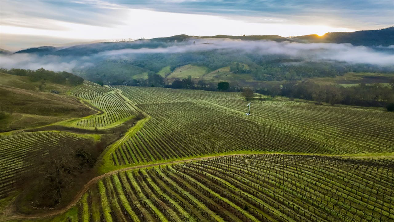 The Legal Fight Between Napa County and Small Wineries Continues