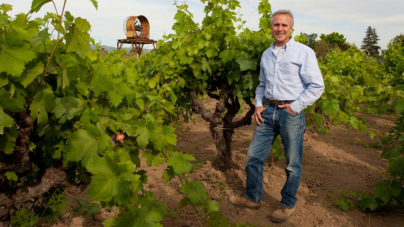 Memorial Day Picks: California Zinfandel, Willamette Valley Chardonnay and More
