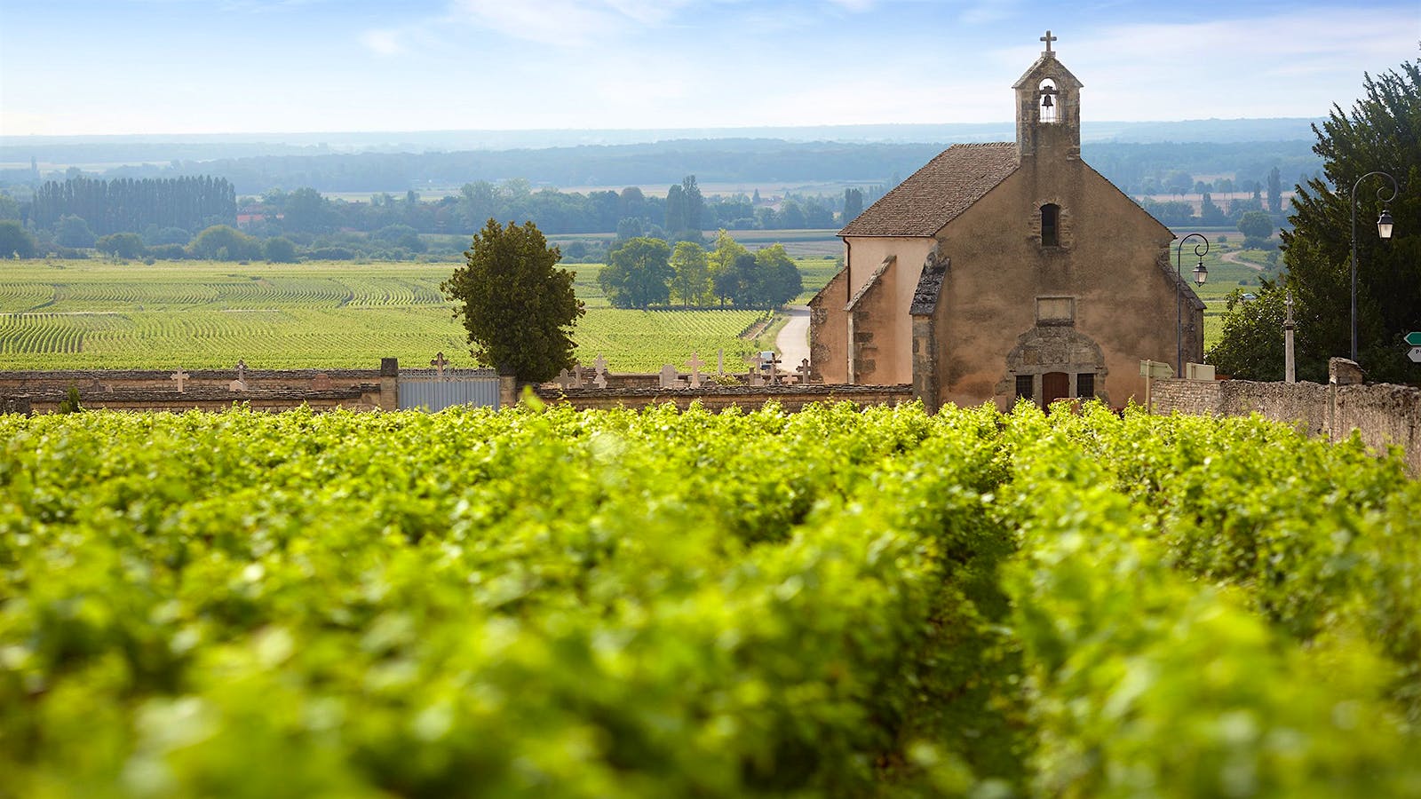 Burgundys Domaine Clos de la Chapelle Purchased By Domaine Guilbert-Gillet