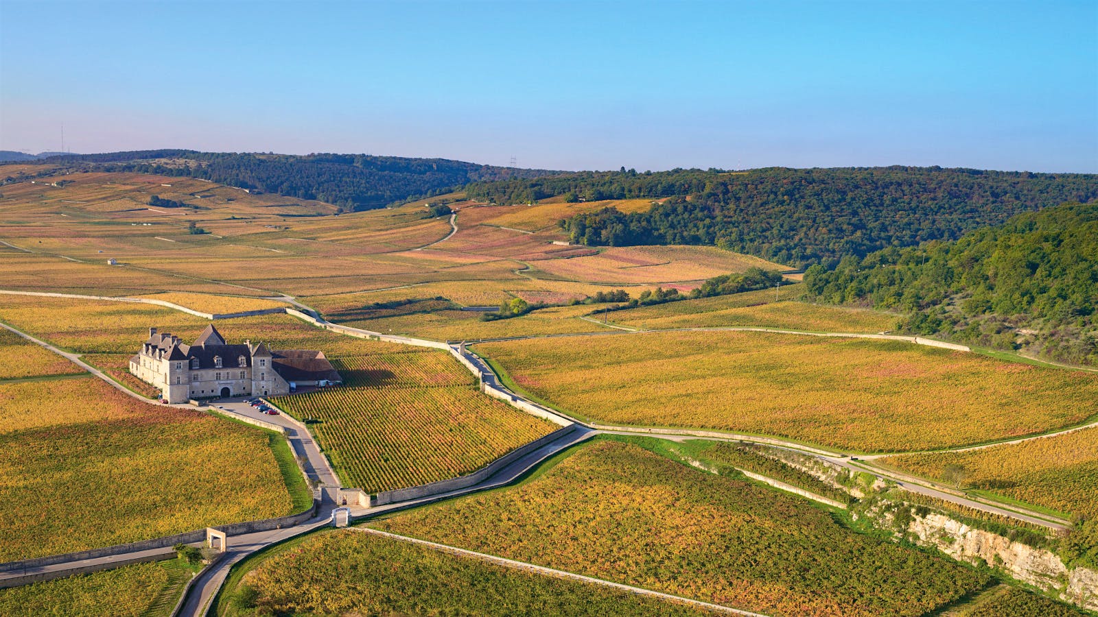 Clos de Vougeot is a reliable source of quality in the 2023 vintage, with three top-scoring wines hailing from this celebrated Côte de Nuits vineyard.