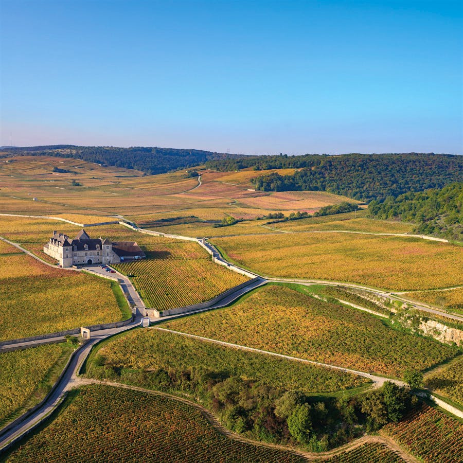Clos de Vougeot is a reliable source of quality in the 2023 vintage, with three top-scoring wines hailing from this celebrated Côte de Nuits vineyard.