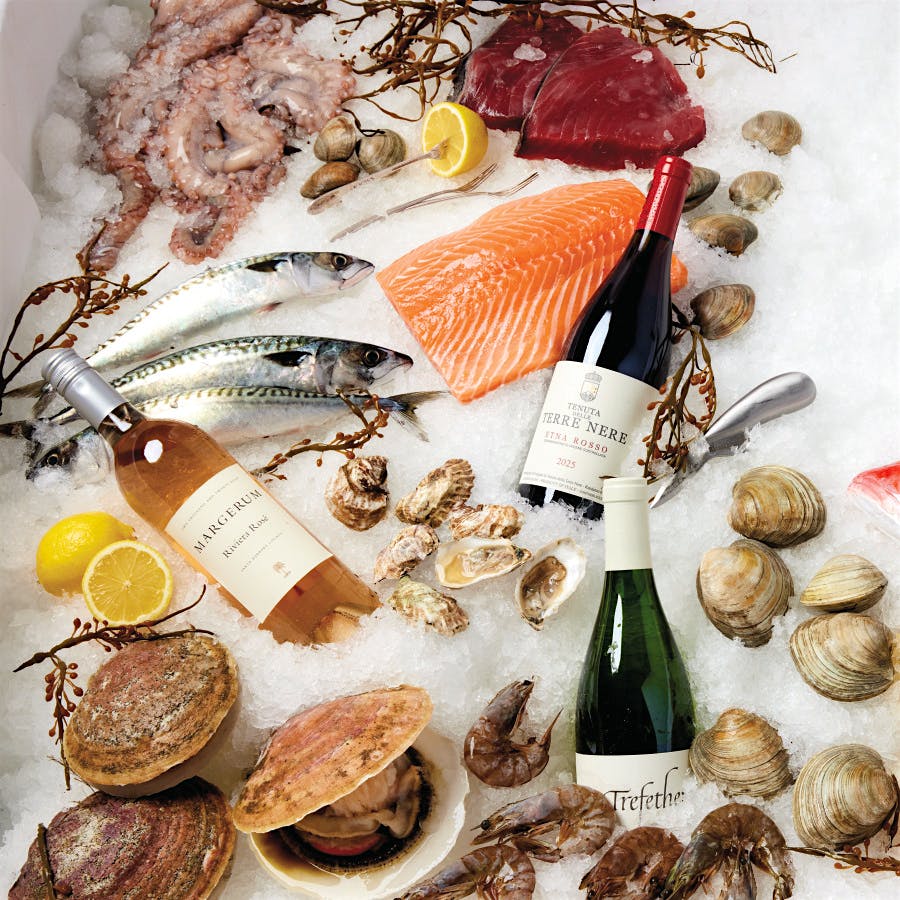 From ceviches to grilled snapper, top chefs share their tips for cooking seafood and pairing with wine.