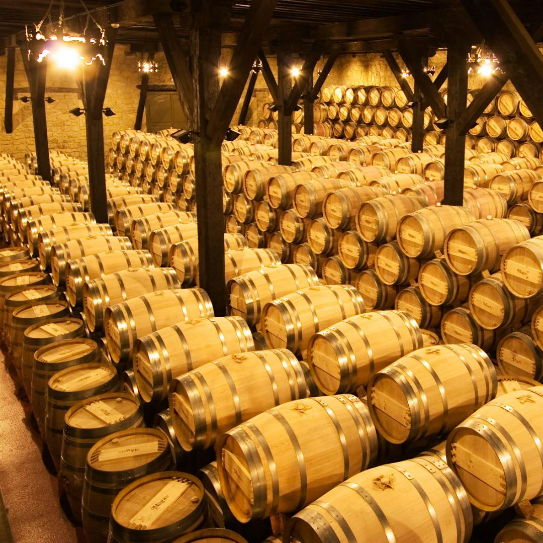 Aging wine in oak barrels, like those seen here at Bodegas Muga, has been a Rioja tradition since the mid-19th century.