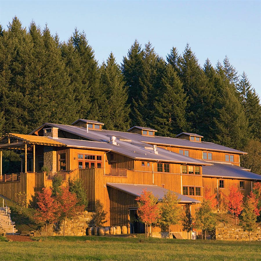 Lemelson Winery makes noteworthy Pinot Noir from its 130 acres of vineyards in the Willamette Valley.