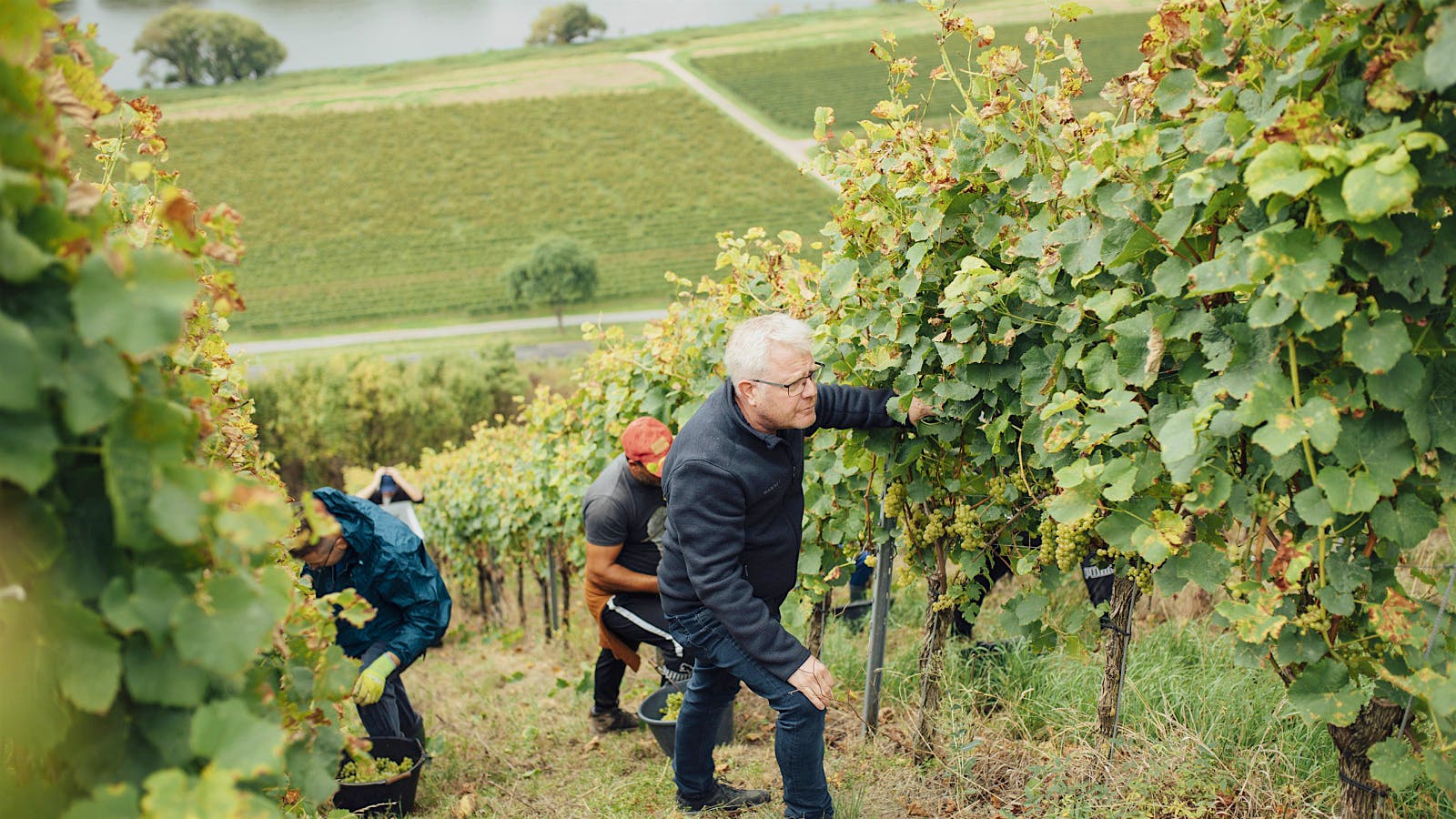 Six Contemporary German Winemakers to Know