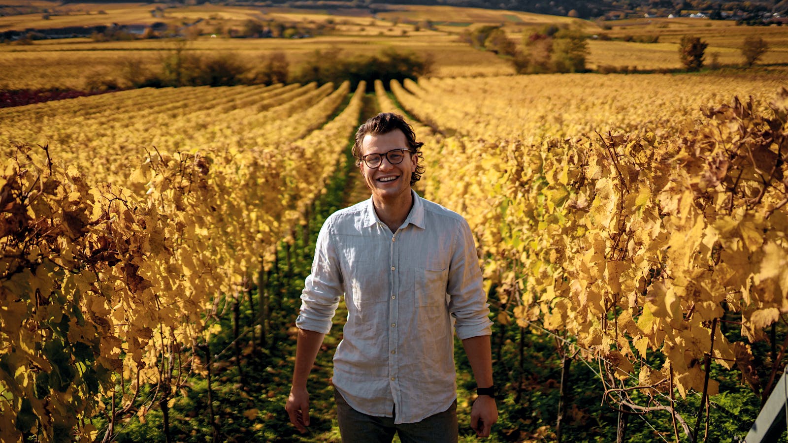  Philipp Lucas of Weingut Lucashof standing among vineyard rows in the Pfalz region of Germany.