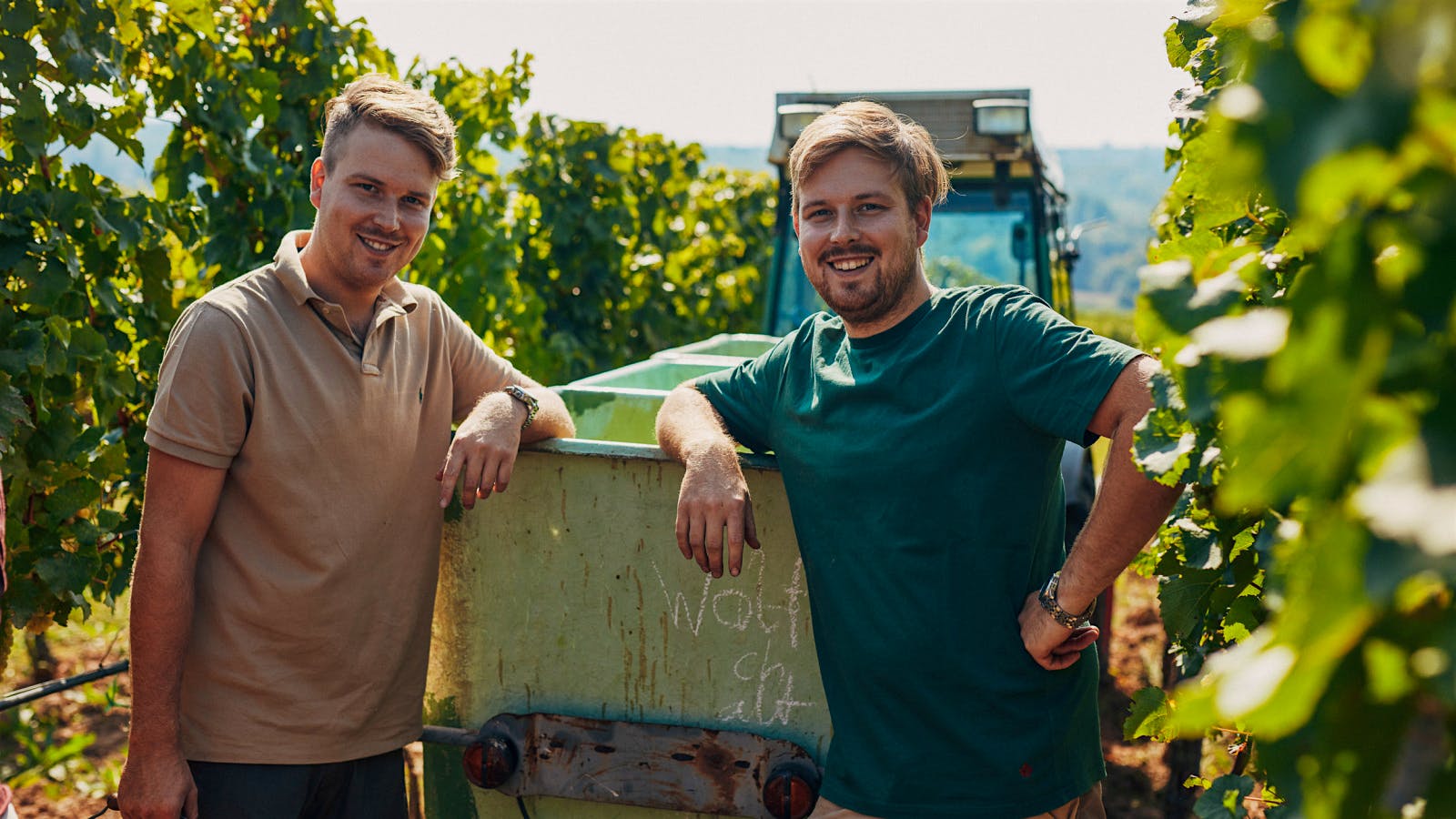Pfalz's Next Generation: Hans and Valentin Rebholz