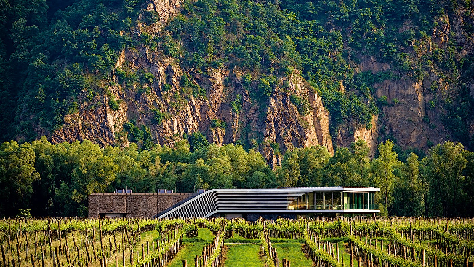 F.X. Pichler vineyards and winery building (Courtesy of Weingut F.X. Pichler)New Ornellaia and Guado al Tasso, Plus Top California Chardonnay
