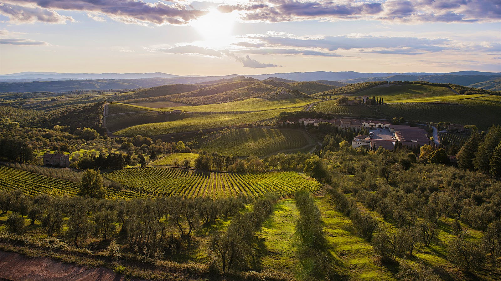 Barone Ricasoli property (Courtesy of Ricasoli)