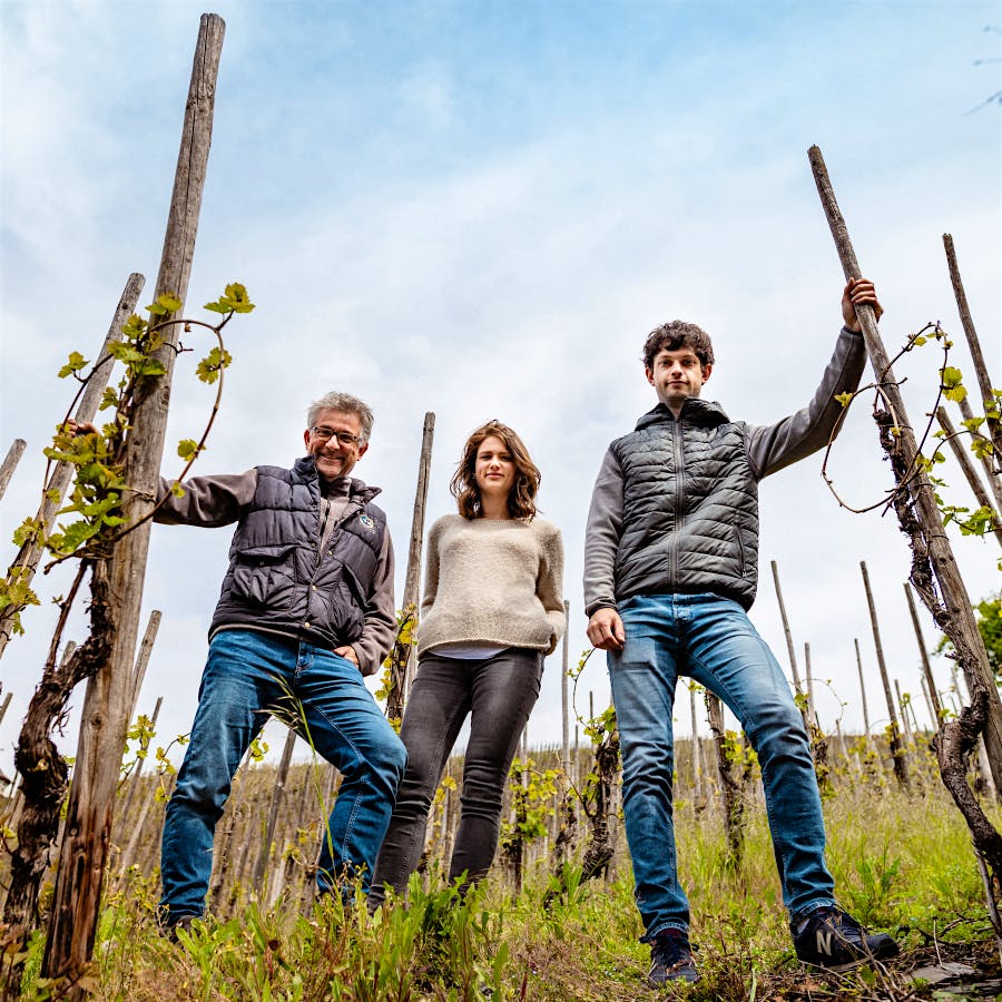 Thomas Haag (left) joins his children, Lara and Niklas, in the vineyards of Weingut Schloss Lieser, where the siblings are helping shape the future of the family’s renowned Rieslings.