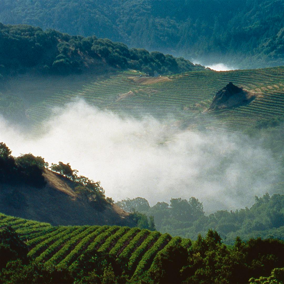Cain's vineyard occupies a lookout spot and unique terroir atop Spring Mountain.