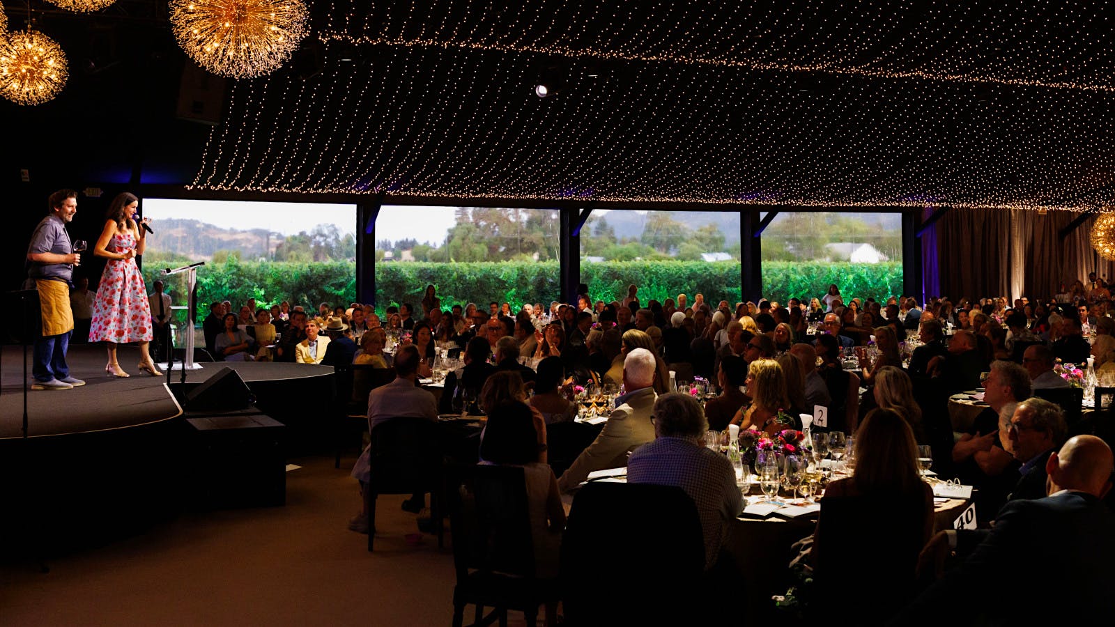 Festival Napa Valley Celebrates 20 Years of Supporting Art Initiatives