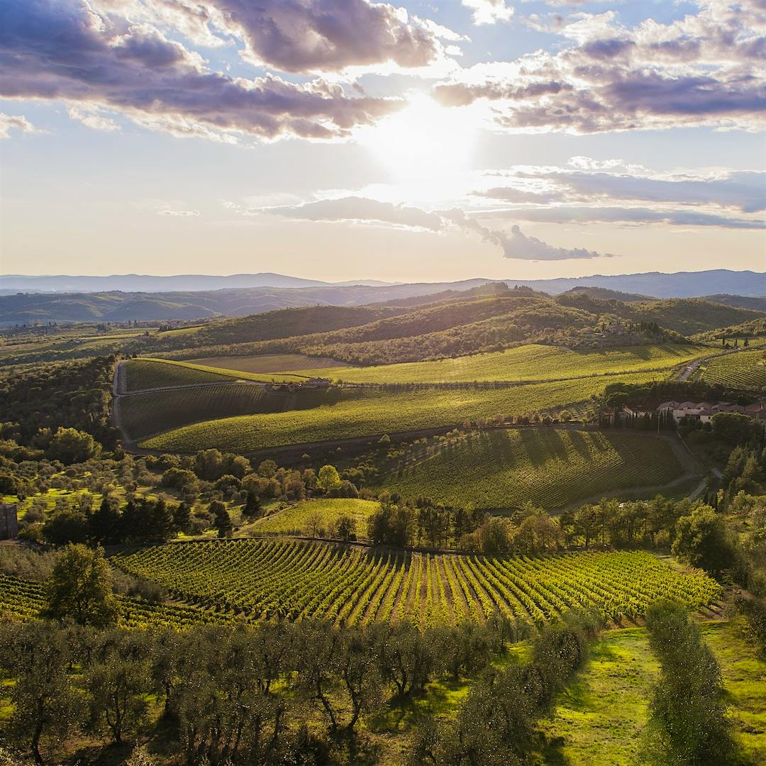 Barone Ricasoli property (Courtesy of Ricasoli)