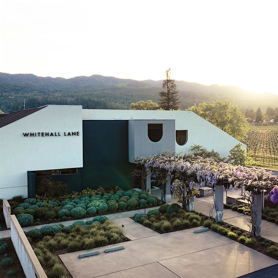 Whitehall Lane in Napa Valley makes noteworthy Sauvignon Blanc using exclusively estate-grown grapes.