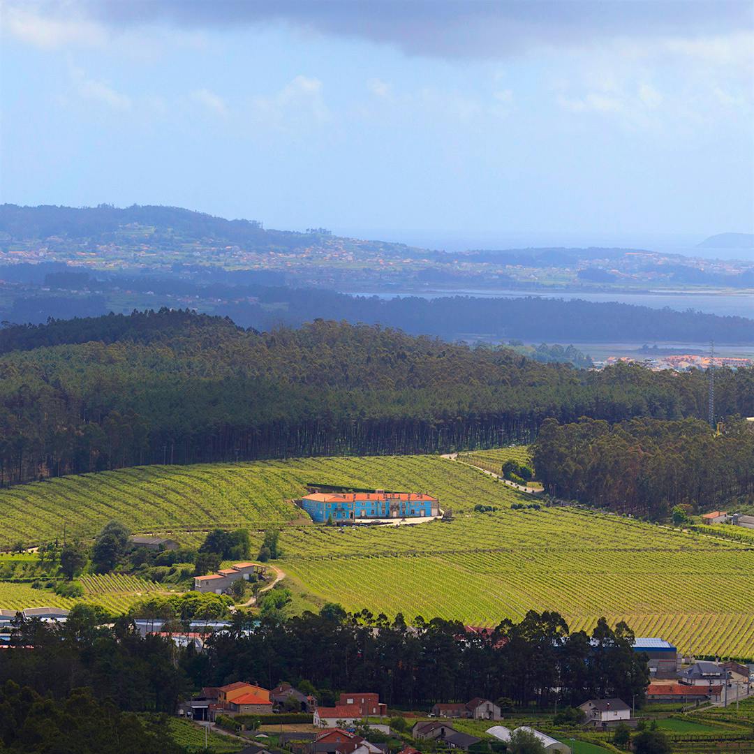 The salty, misty sea breezes in Rías Baixas are reflected in the Albariño wines made there, like at Agro de Bazán.