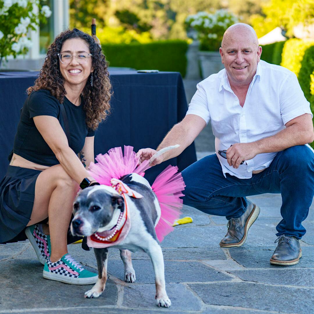  A dog at WineaPAWlooza 2026.] 