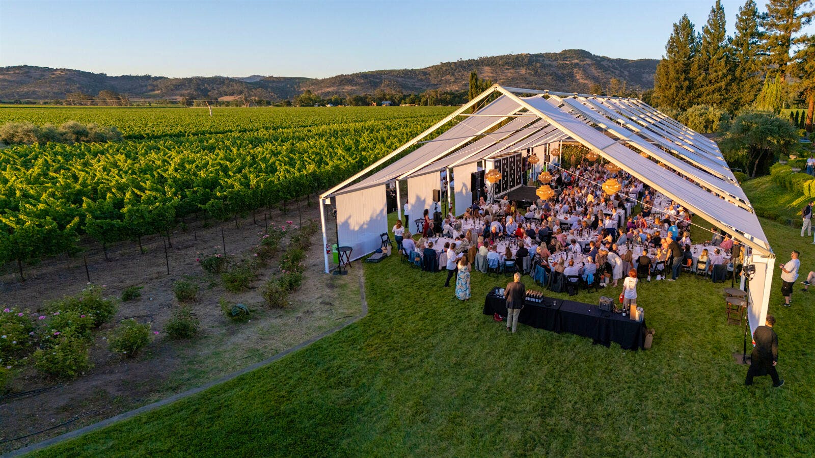 Guests could enjoy lovely weather in the WineaPAWlooza tent at Castellucci Estate in Oakville, Napa Valley.
