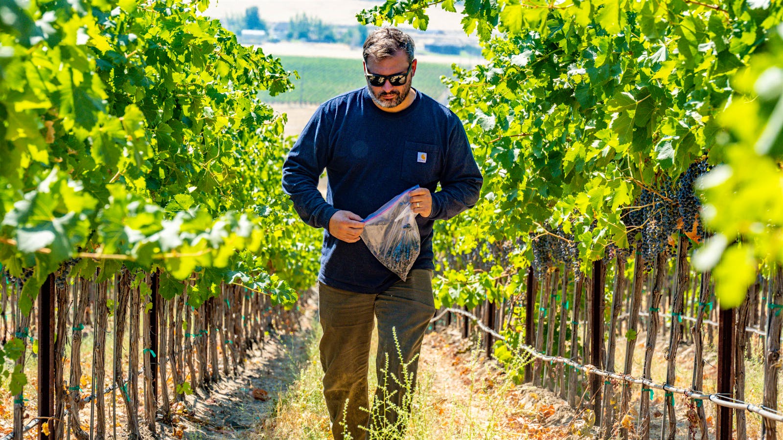 Celebrate Summer With Refreshing West Coast Rosés