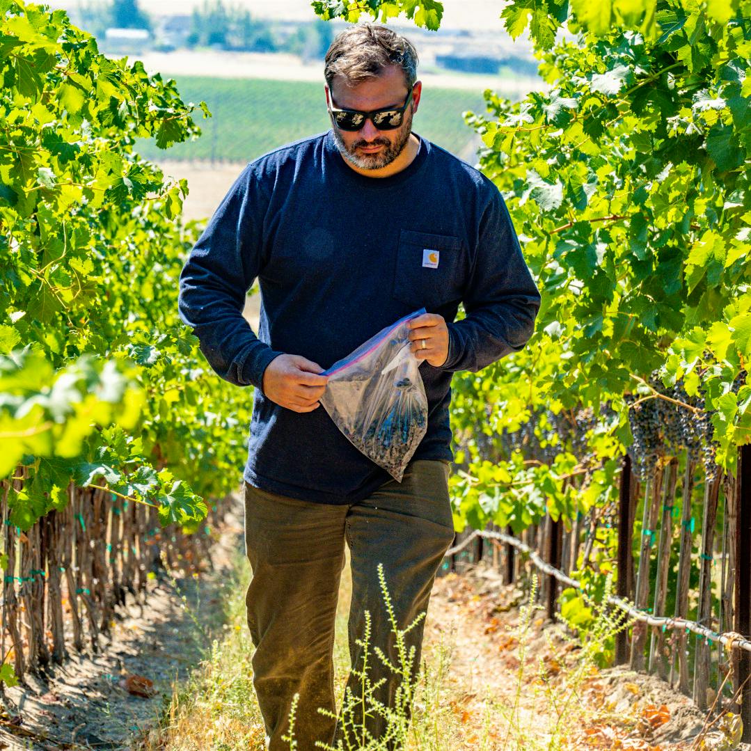 DeLille’s vice president of winemaking, Jason Gorksi, makes a range of wines from Washington State vineyards, including noteworthy rosé.