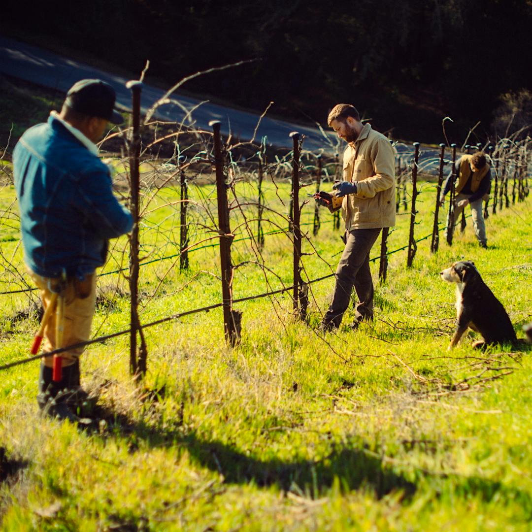 MAHA winery produced several top-scoring wines from its vineyards in Paso Robles.