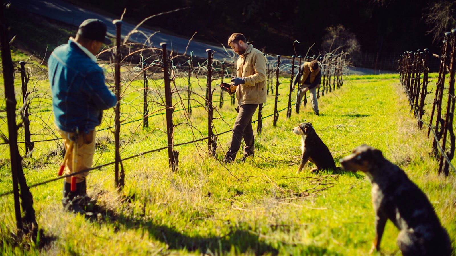 MAHA winery produced several top-scoring wines from its vineyards in Paso Robles.