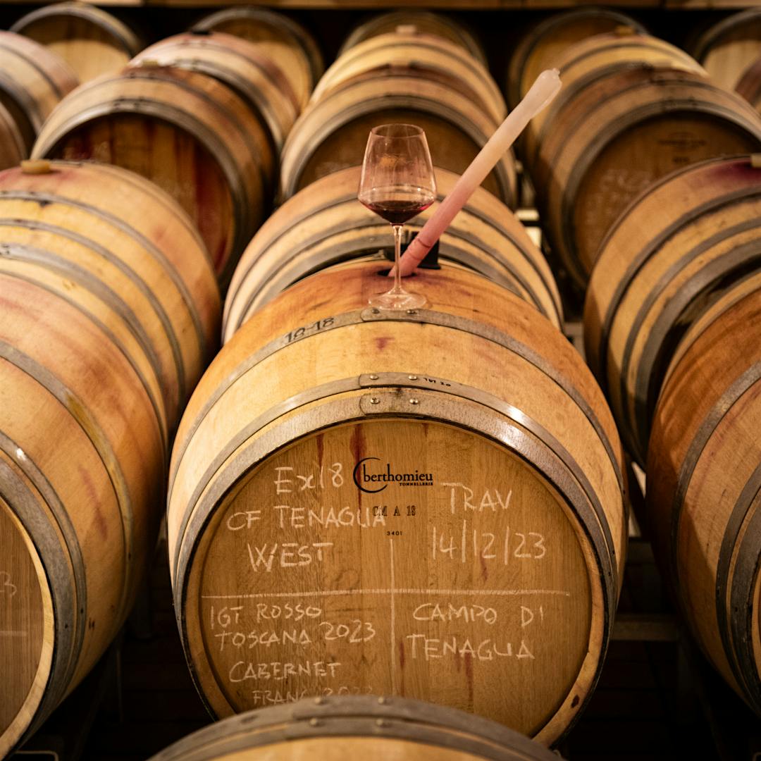 Tenuta di Trinoro, which specializes in super Tuscans, produced over a dozen excellent and classic-scoring wines across the 2022, 2023 and 2024 vintages.