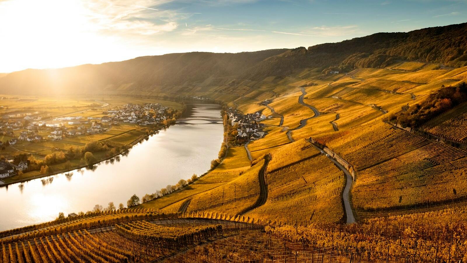 Vineyards across Germany, like these in the Mosel Valley belonging to Schloss Lieser, offered generous ripeness in 2023 and tense precision in 2024.Six Top German Winemakers to Know—and Two Remarkable Vintages