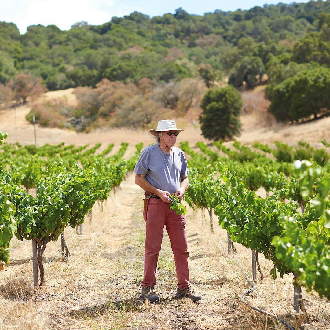 Randall Grahm built a big business, but is now focused on speaking for his particular terroir.The Terroirist Documents the Rhône Ranger’s Revival