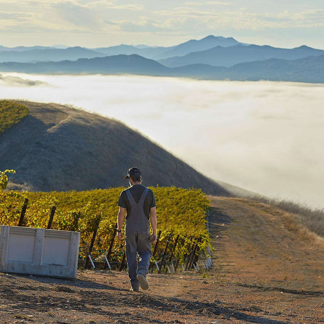 Saxum’s Cayucos Ridge Vineyard is situated at 1,600 feet on a ridgeline of the Santa Lucia Mountain range, less than 4 miles from the ocean.Paso by Paso: Saxum’s Coastal Pursuit