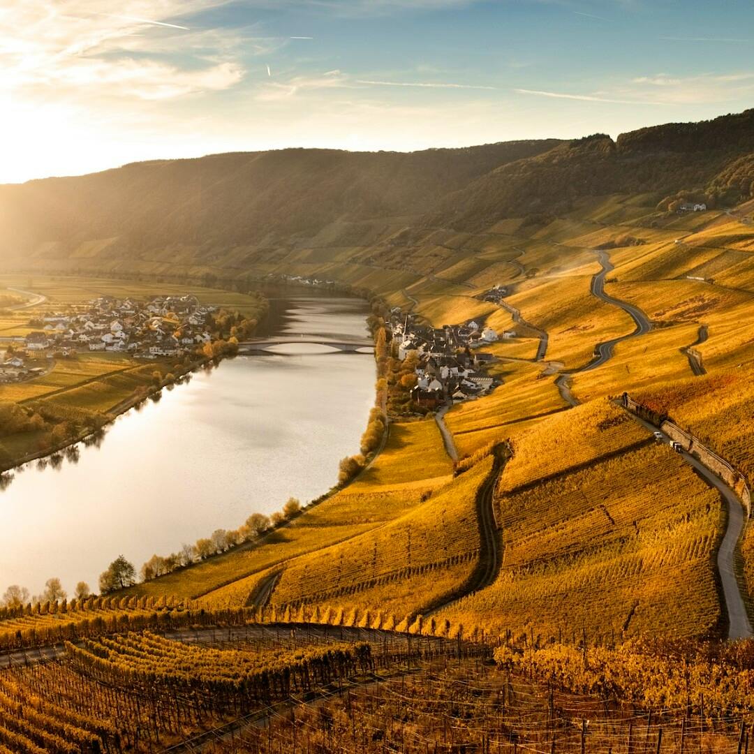 Vineyards across Germany, like these in the Mosel Valley belonging to Schloss Lieser, offered generous ripeness in 2023 and tense precision in 2024.Six Top German Winemakers to Know—and Two Remarkable Vintages