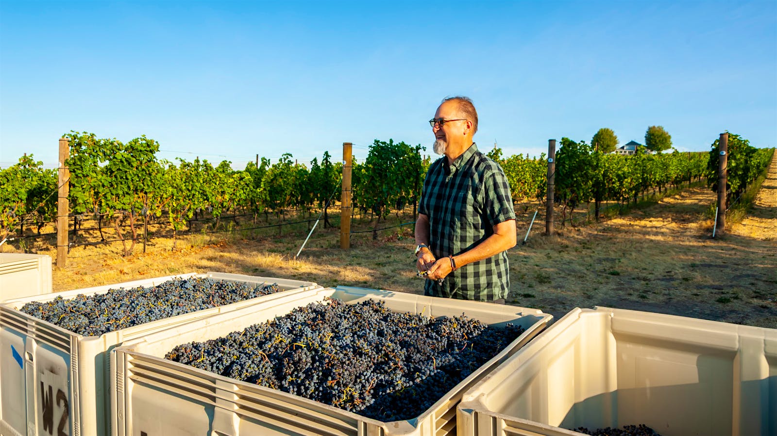 Bold Washington Red Wines That Deliver Value