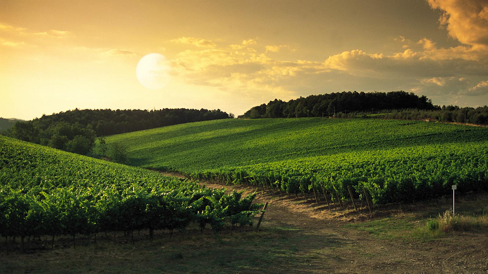 Mondavis Purchase Napa Property for Continuum