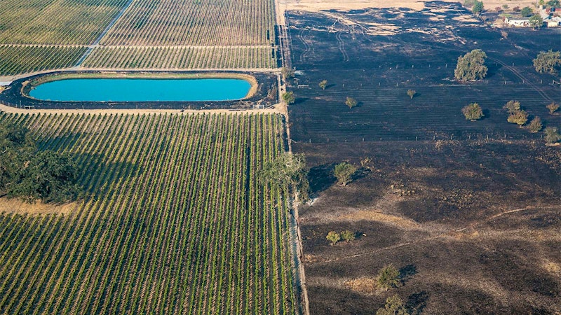 The Road Ahead for California Wine