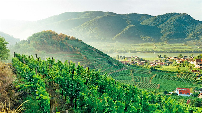 Austria’s Appeal