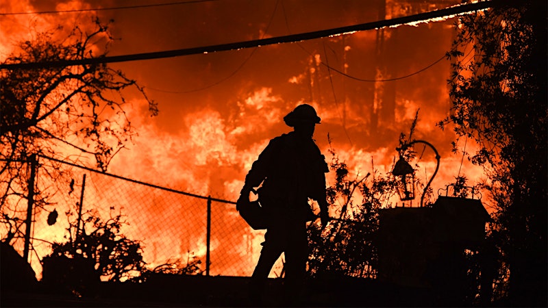 California Wildfires Devastate Malibu Wine Region