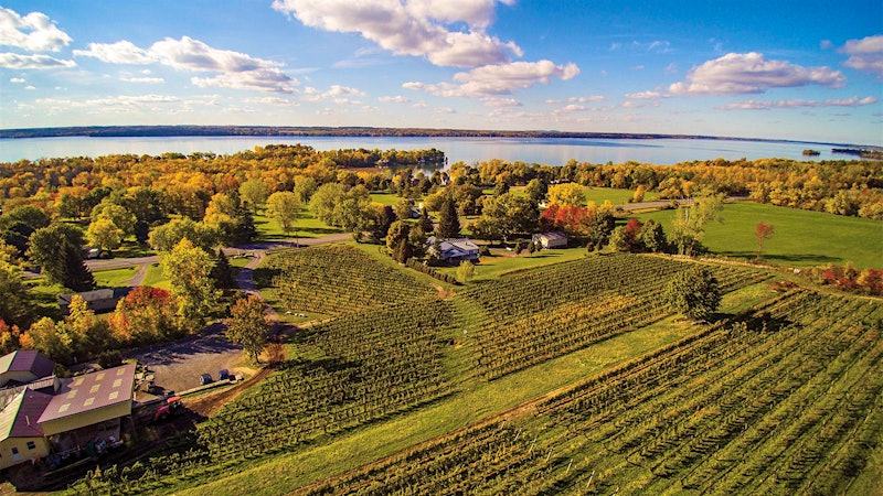 A Guiding Hand to the Finger Lakes