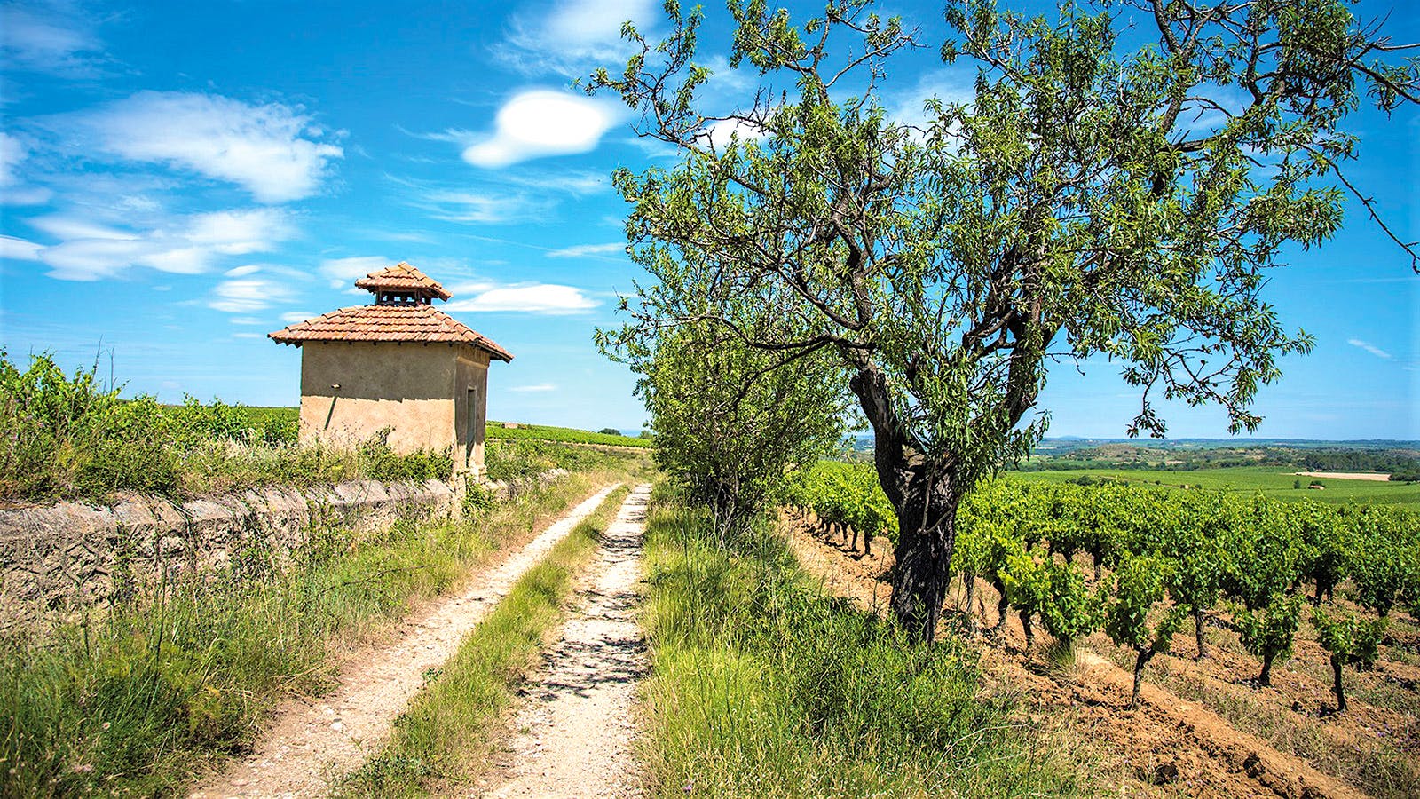 Alphabetical Guide to Languedoc