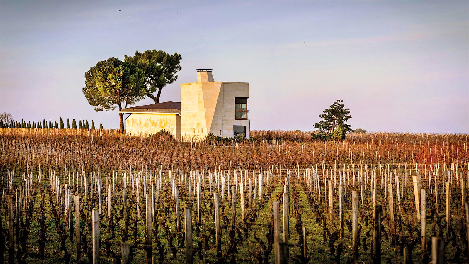 A view of the Top Right Bank estate, Château Le Pin, in the heart of Pomerol.