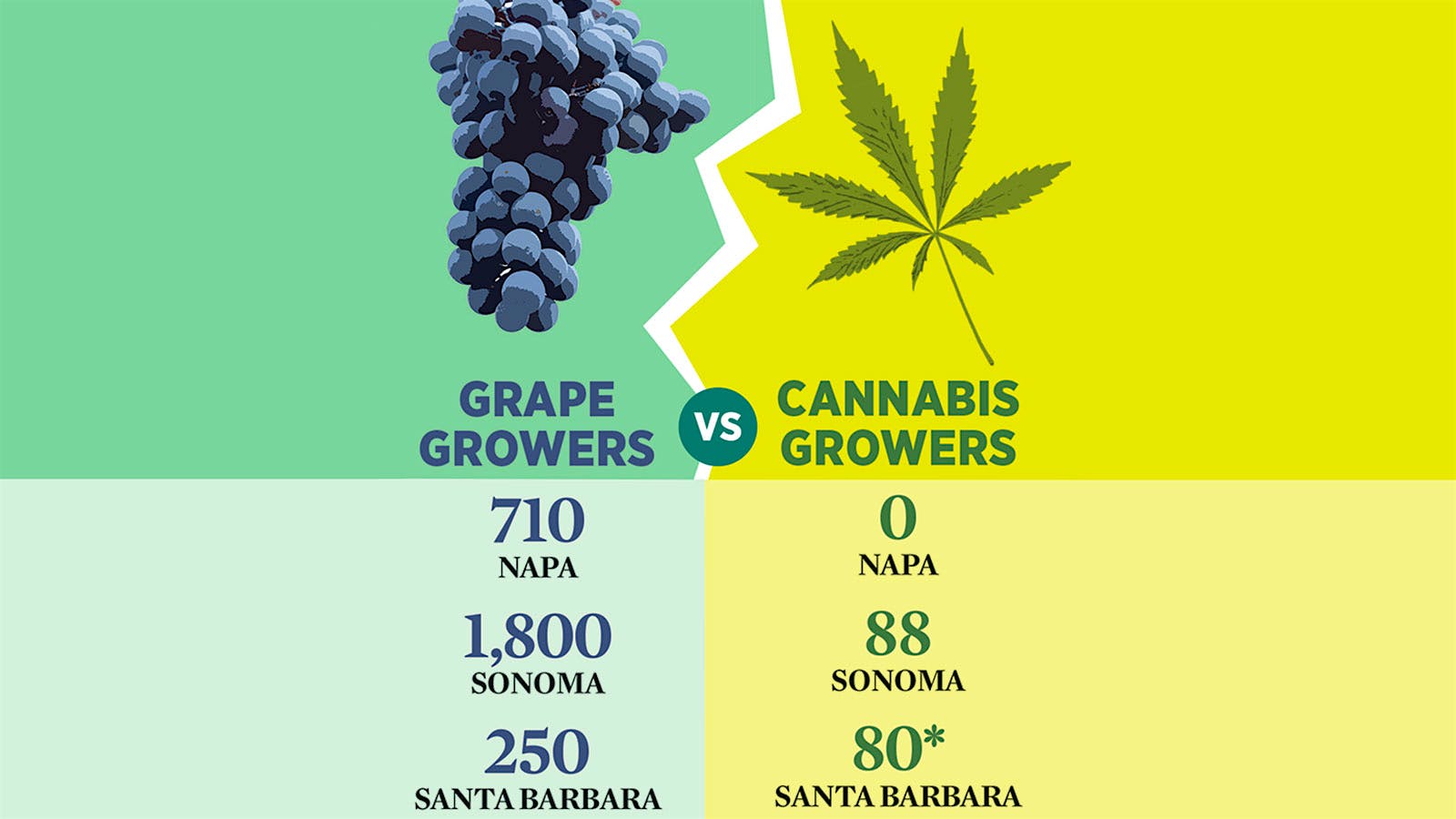 Cannabis and Wine Struggle to Coexist