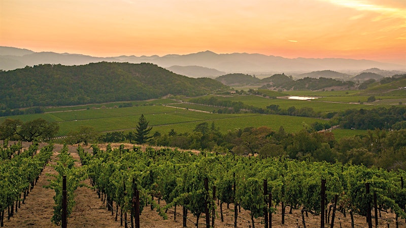 Alphabetical Guide to California Merlot