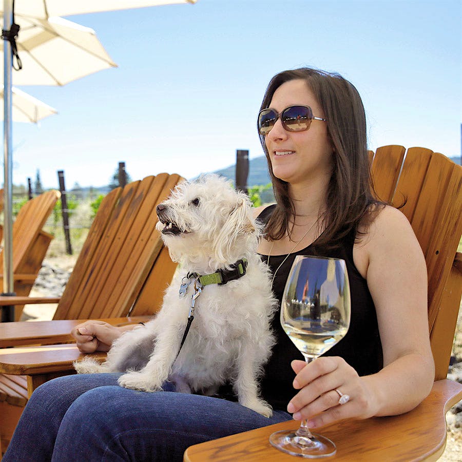 Hall Winery earns a dog lover’s seal of approval.